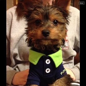 Meet your Posher, Jan